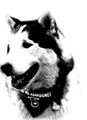 logo_7
