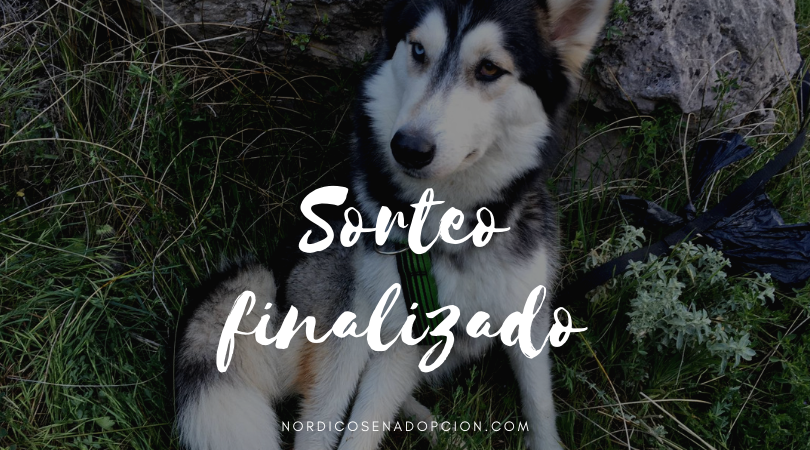 Sorteo finalizado